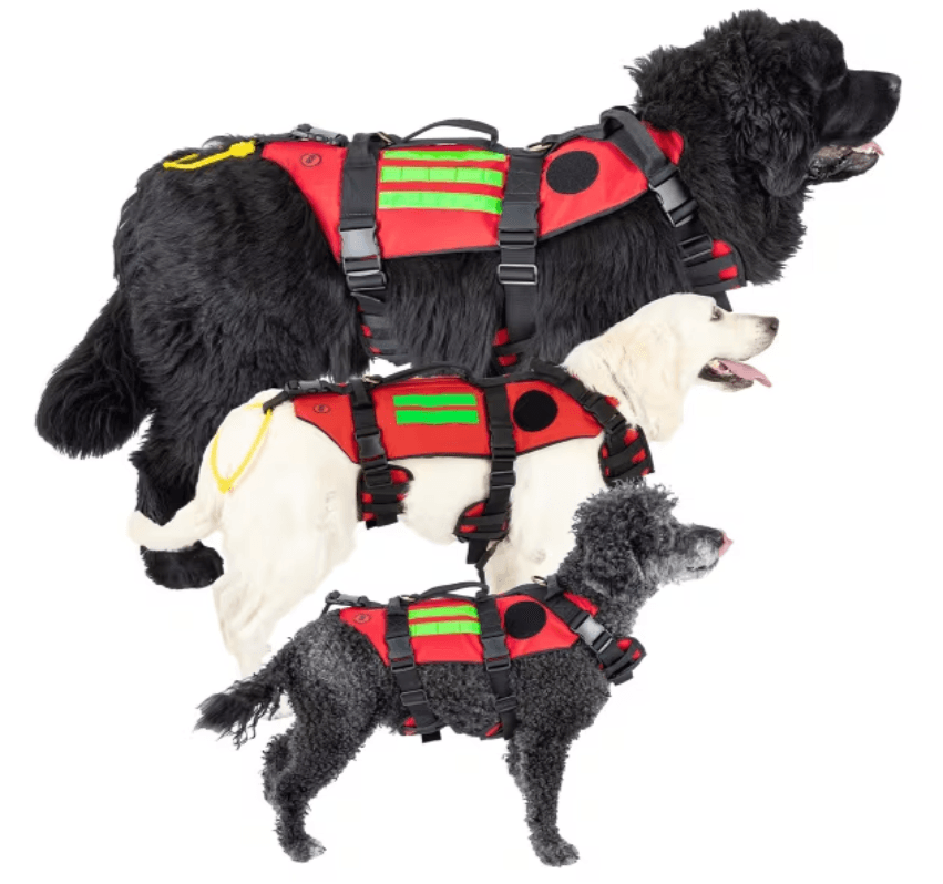 Harnais de sauvetage RESCUE DOG